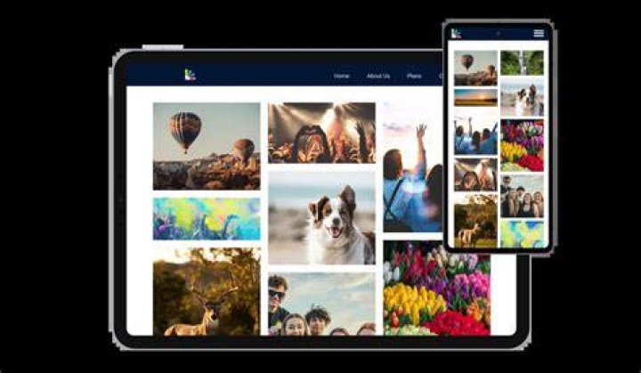 Adult image gallery platform search interface
