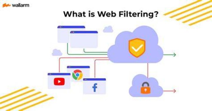 Adult streaming category browsing and filters