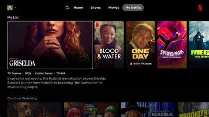 Adult video categories browsing interface