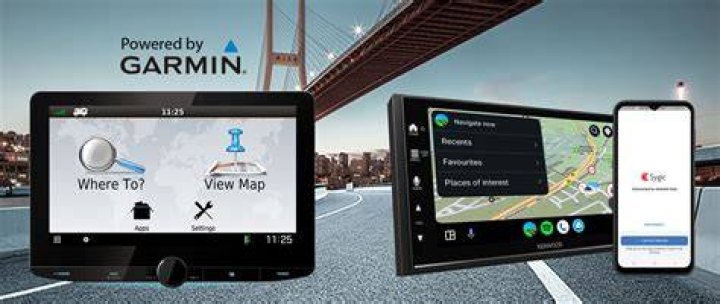 Adult video category and genre navigation system