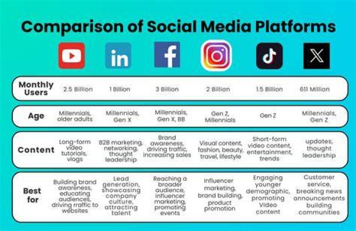 Comparison of adult video platforms and alternatives