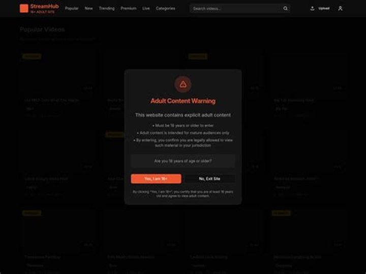 Adult video streaming platform interface