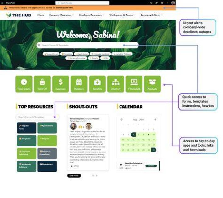 Adult website homepage navigation and layout