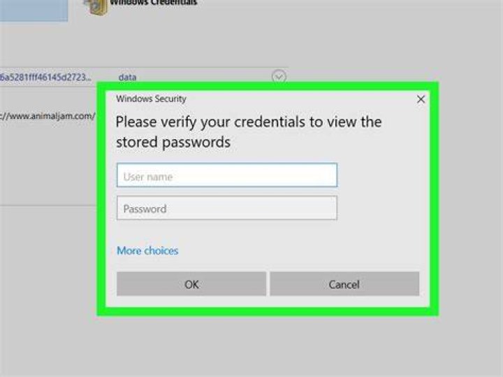 Checking login credentials carefully