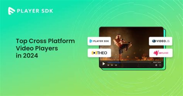 Cross-platform video search