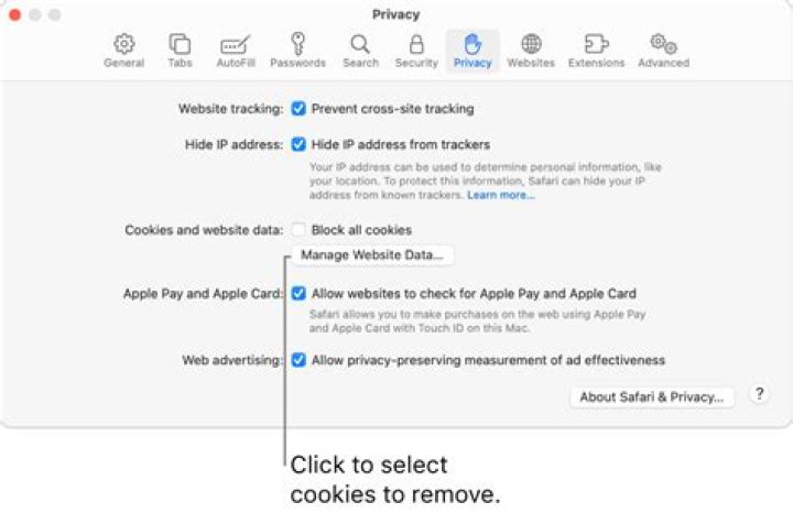 Digital hygiene tips for private browsing sessions