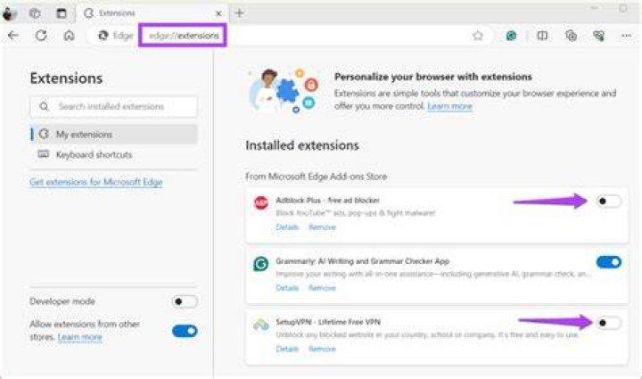 Disabling browser extensions to fix video player issues