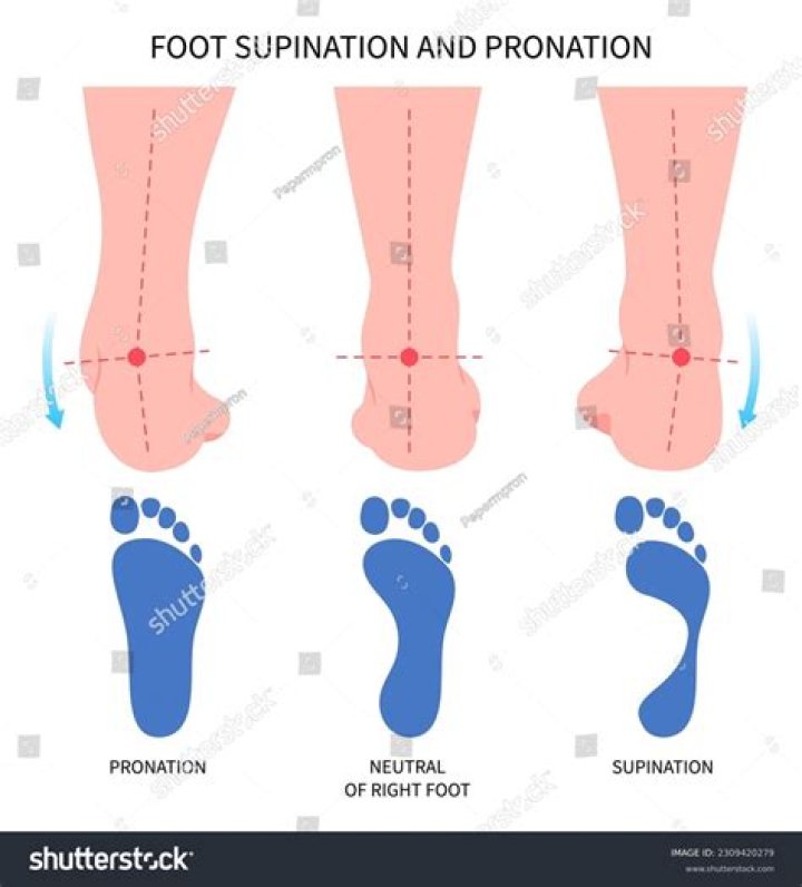 Fetish subcategory specificity BDSM foot role play