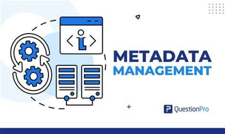 Image gallery tagging system and metadata for browsing