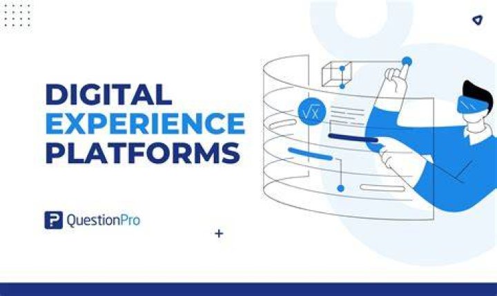 Key features of adult video platforms compared