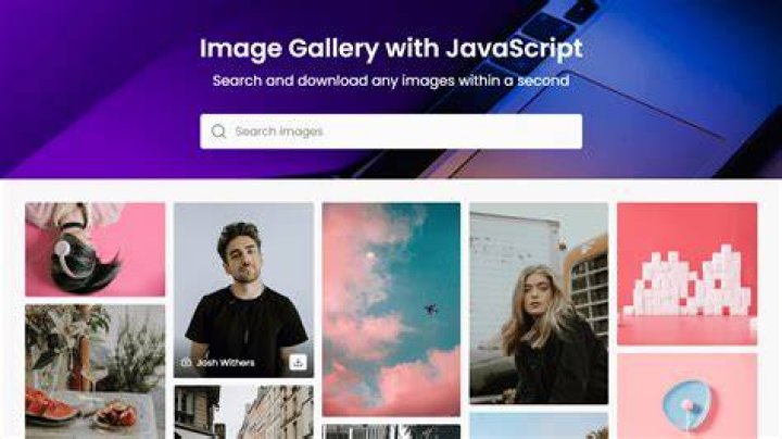 Keyword search bar on image gallery website