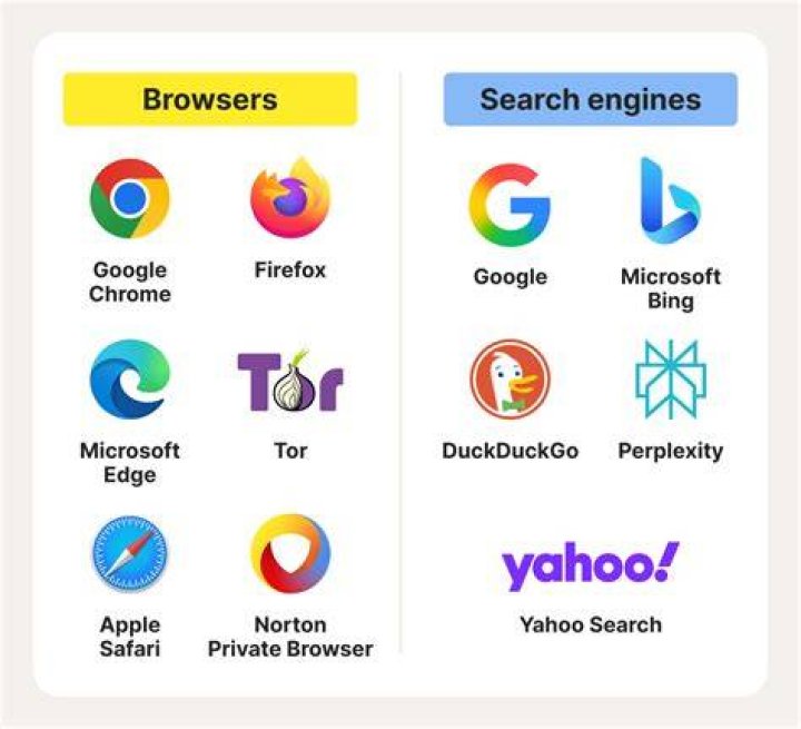 User experience design browse-first versus search-first live cam platforms