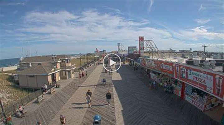 Live webcam stream categories including nature, city, beach, and traffic