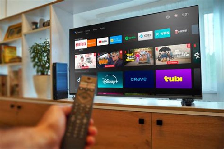 Malware and security risks on adult streaming platforms