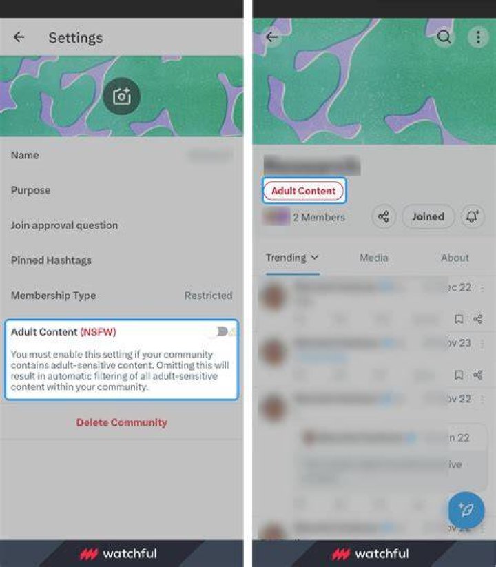 NSFW content privacy settings on adult hosting platform