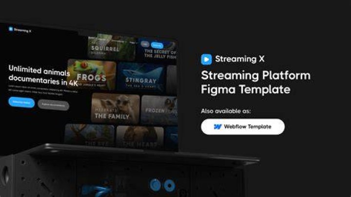 Stream Leak online media player platform interface