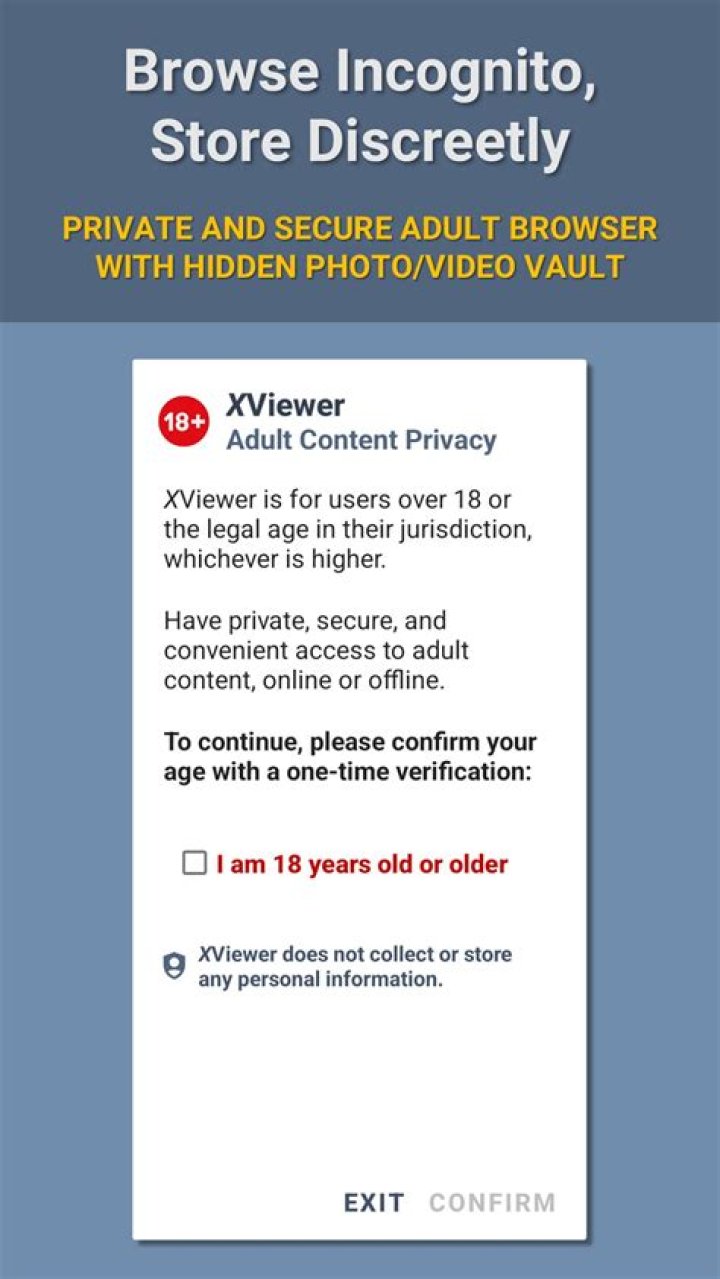 Online privacy and security for adult content viewers