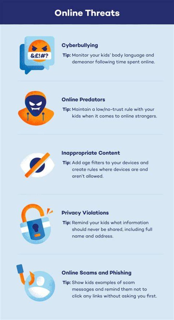 Online privacy and security risks for adult browsing