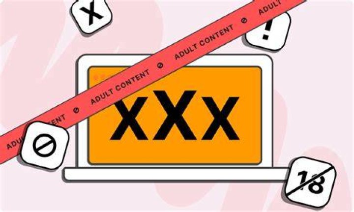 Online privacy and security risks on adult websites
