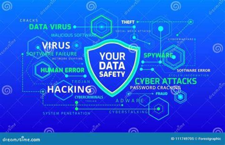Online Security Risks