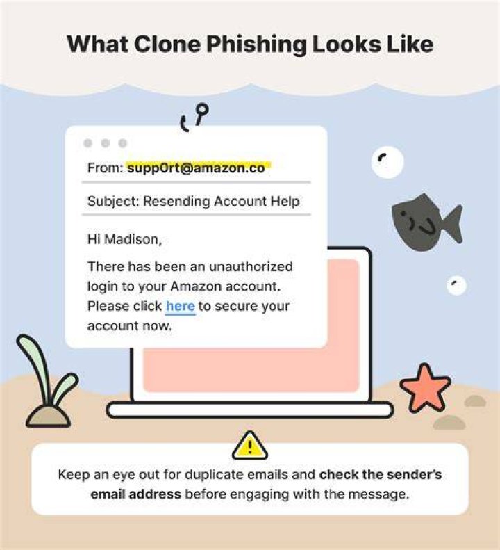 Recognizing phishing and fake clone websites