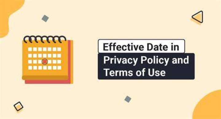 Reviewing privacy policy and terms of service online