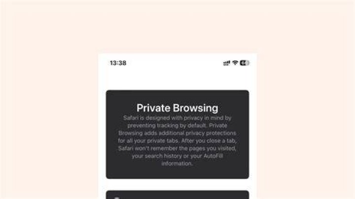 Private browsing mode and privacy settings for adult websites