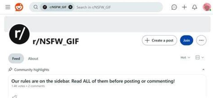 Reddit NSFW GIF embed sharing in community posts