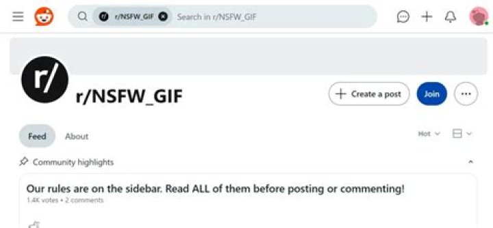 RedGIFs NSFW animated GIF hosting platform