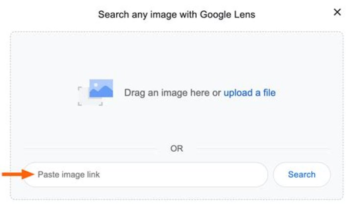 Sorting options for image search results