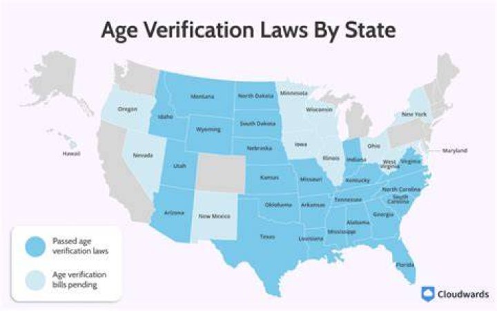 State by state adult content age verification map