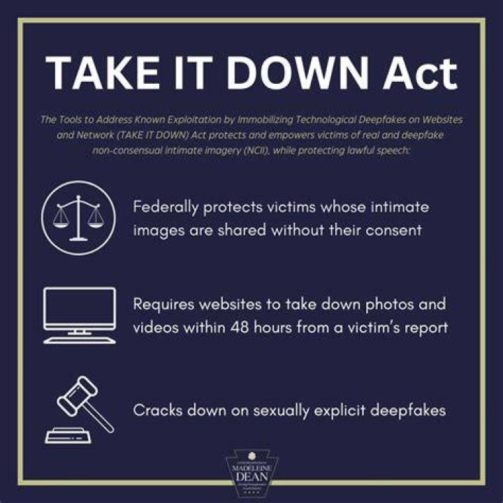 TAKE IT DOWN Act 2025 federal deepfake law