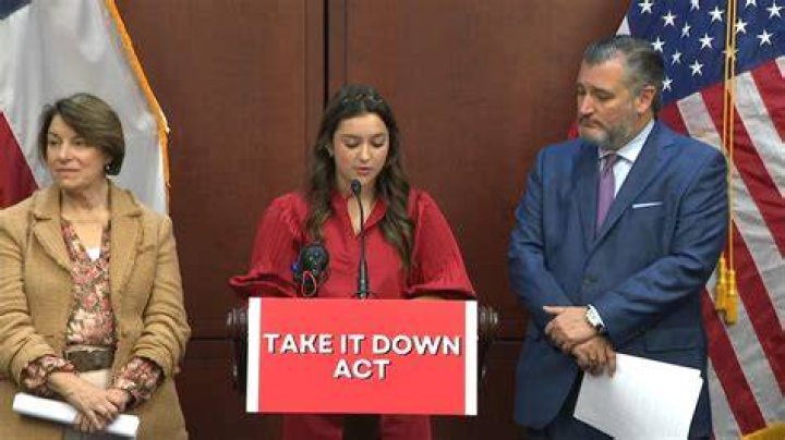 TAKE IT DOWN Act 2025 federal law nonconsensual images