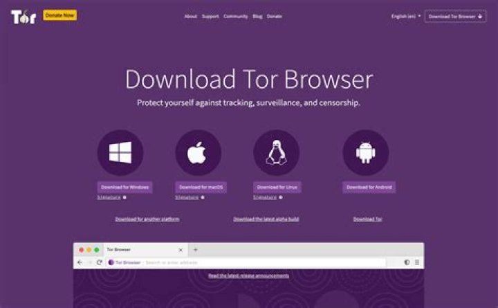 Tor browser for anonymous internet browsing