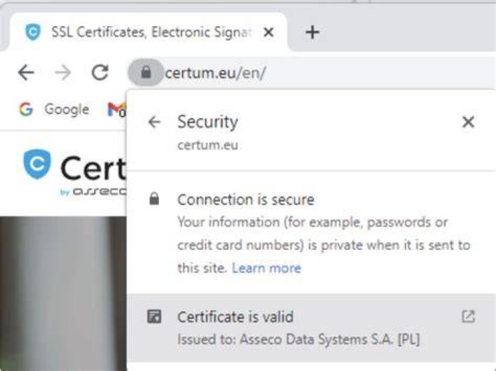 Verifying a safe cam website with HTTPS and SSL