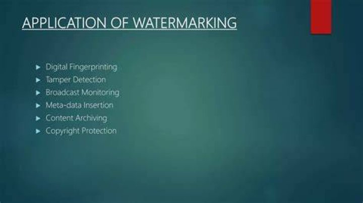 Watermarking and digital fingerprinting for content protection