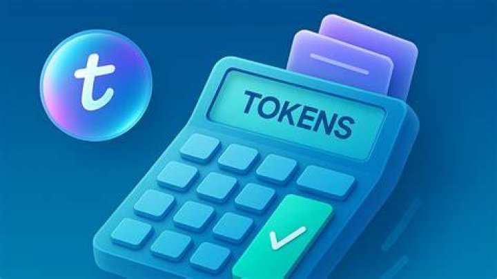 Webcam chat token currency system