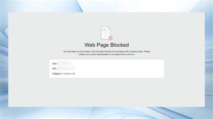 Website access blocked error page