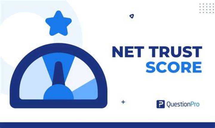 Website security trust score analysis