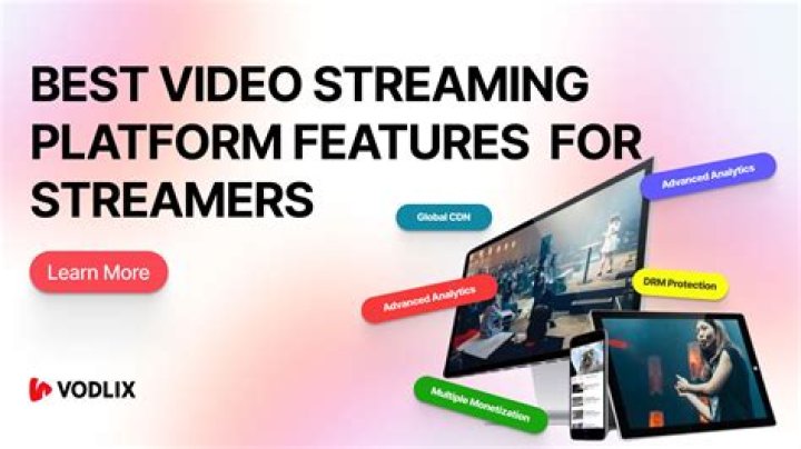 Well-structured video category system on streaming site